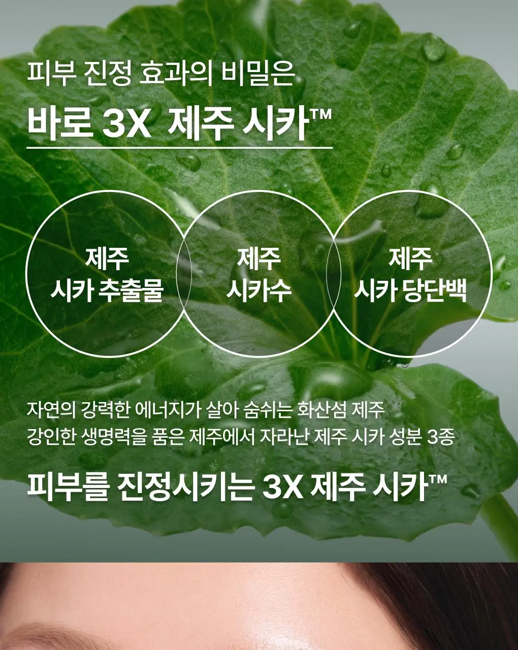 [1+1] 이니스프리 레티놀 시카 모공 흔적 앰플 30ml 리필기획(+30ml 리필) 상세페이지 23